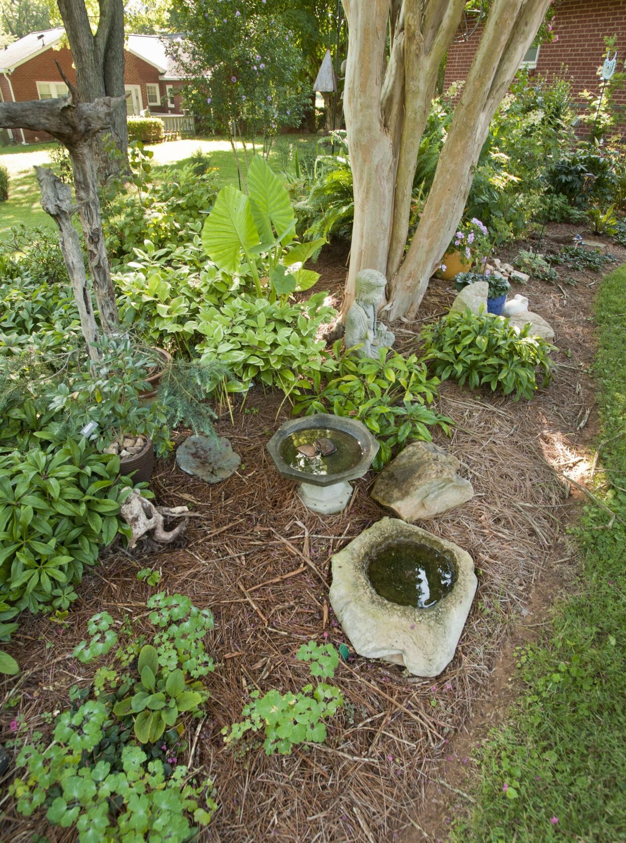 Timothy Day garden